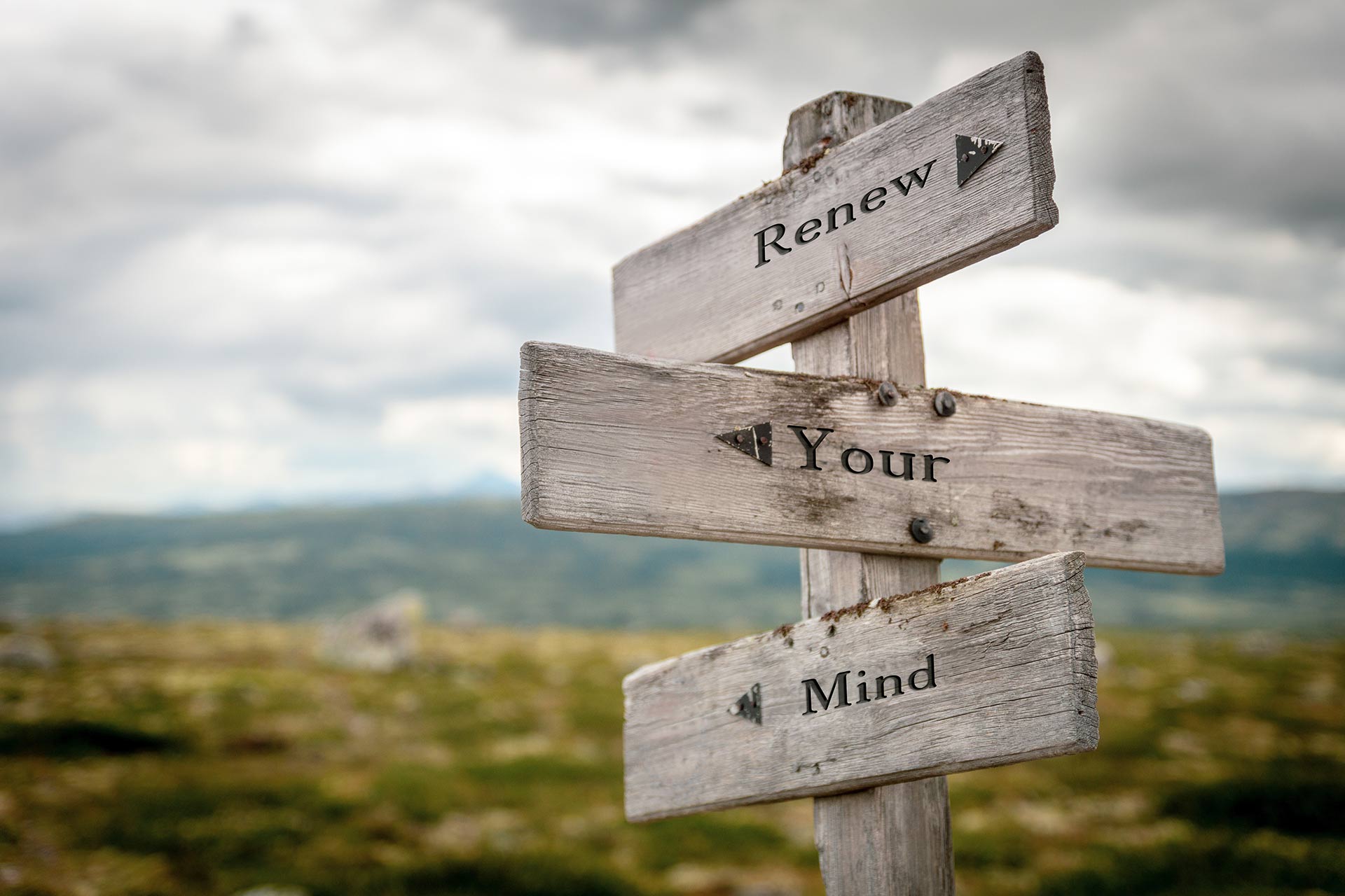 Mind Your Mind & Sea to Sky Community Services