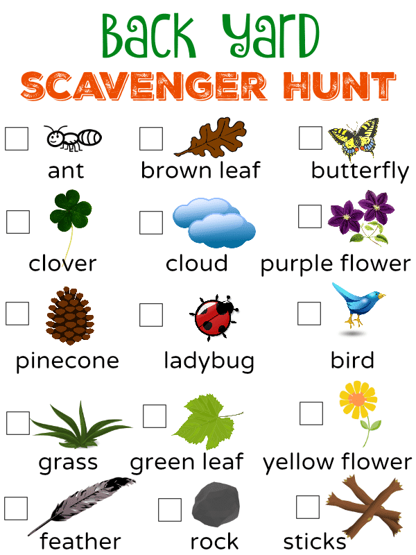 Back Yard Scavenger Hunt